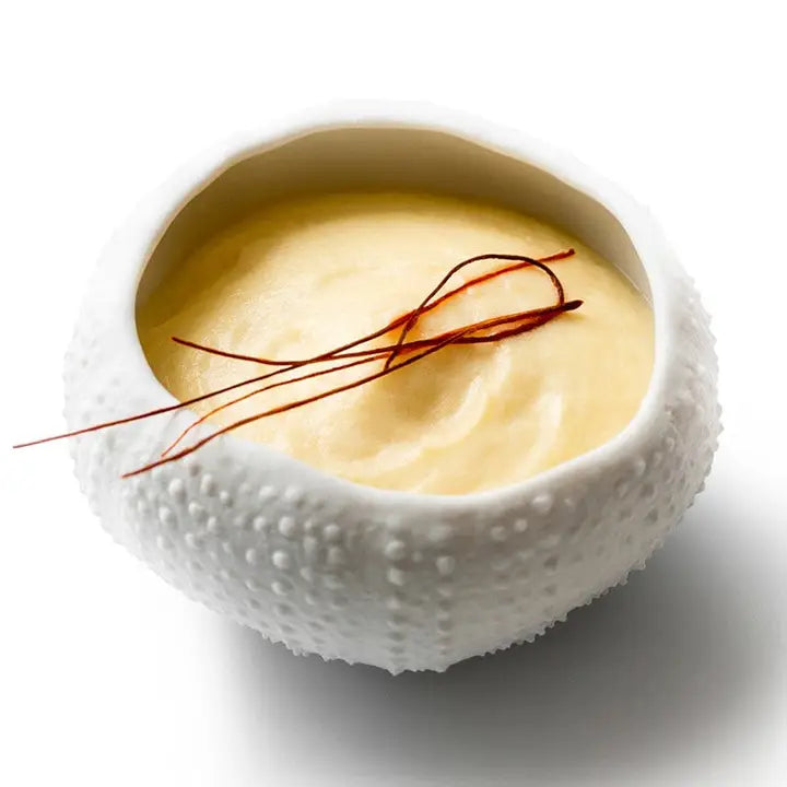 Pordamsa Sea Urchin Gloss/Mat Bowl 6cm