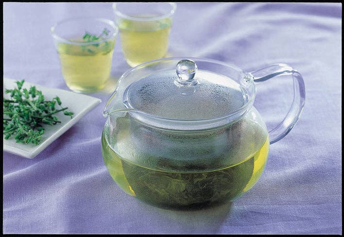 ChaCha Kyusu "Maru" Tea Pot