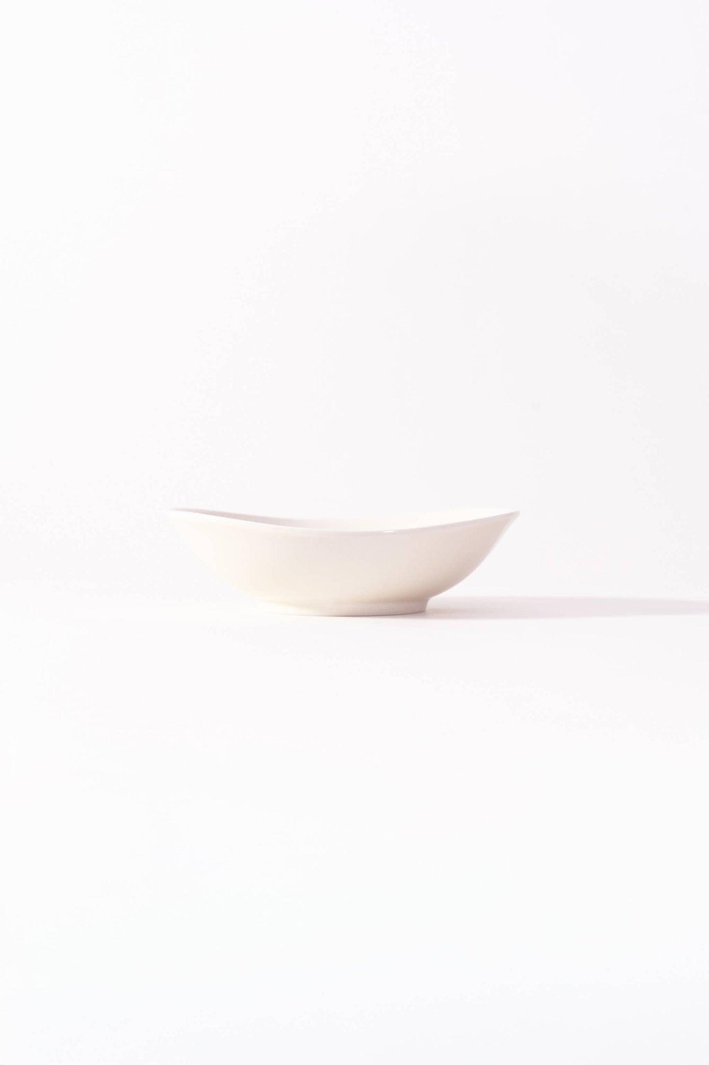 Mino Ware Organic Bowl Medium
