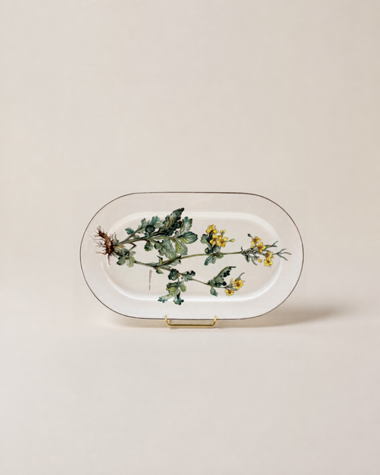 Villeroy & Boch Botanica Large Oval Platter