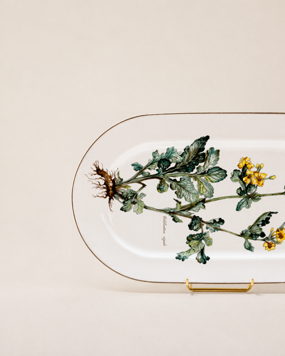 Villeroy & Boch Botanica Large Oval Platter
