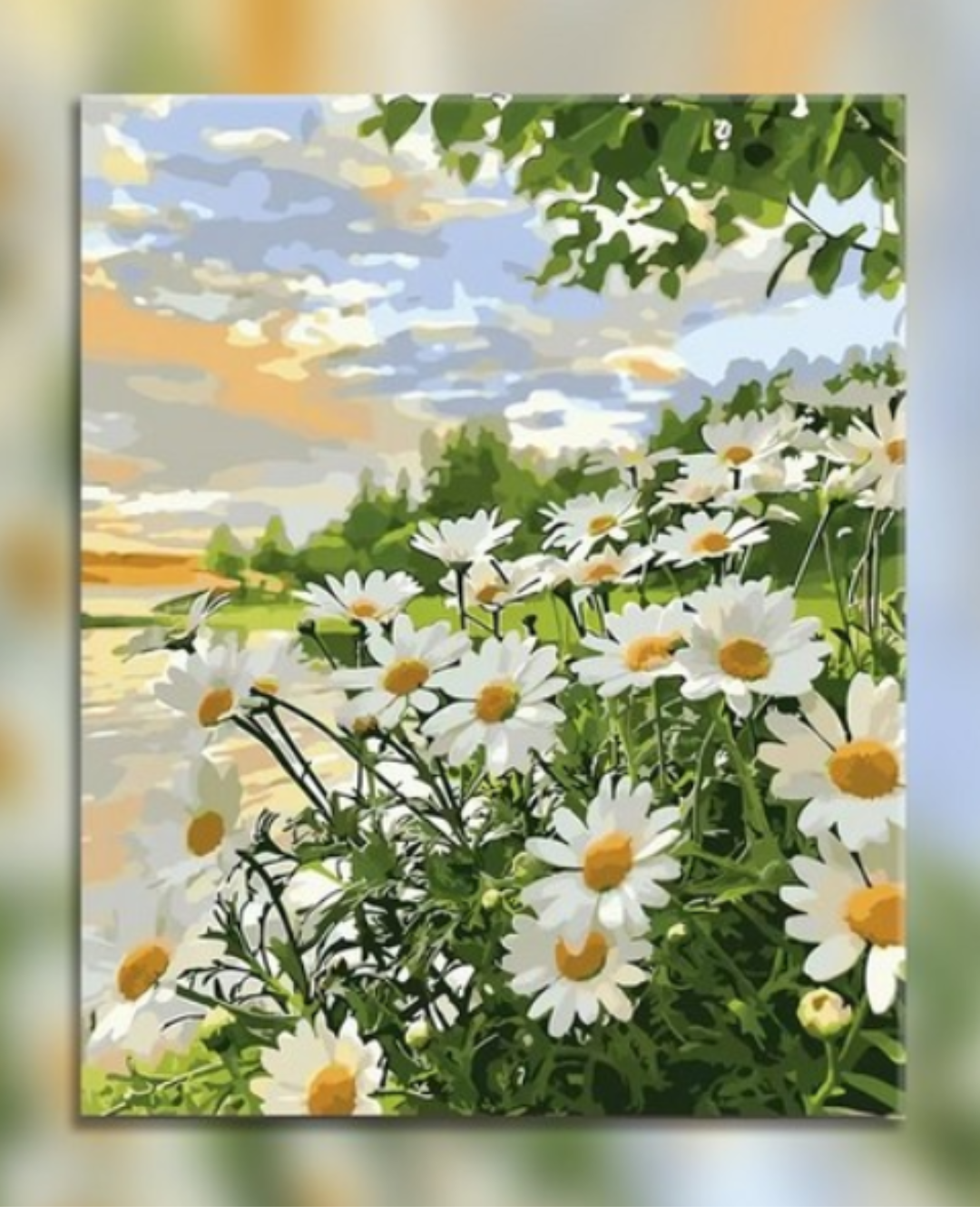 Chrysanthemum flowers – DIY Paint by Numbers Kit (with Frame)
