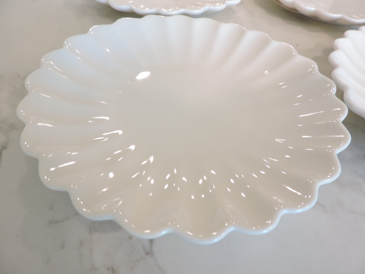Nature Series Floral Rim Plate 6" Set of 4