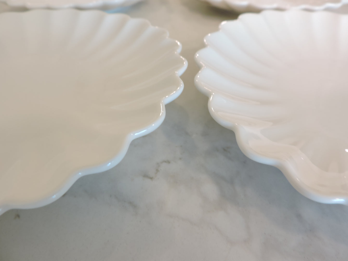 Nature Series Floral Rim Plate 6" Set of 4