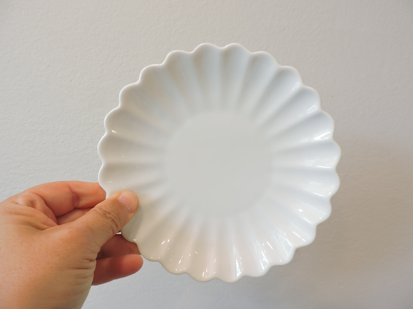 Nature Series Floral Rim Plate 6" Set of 4