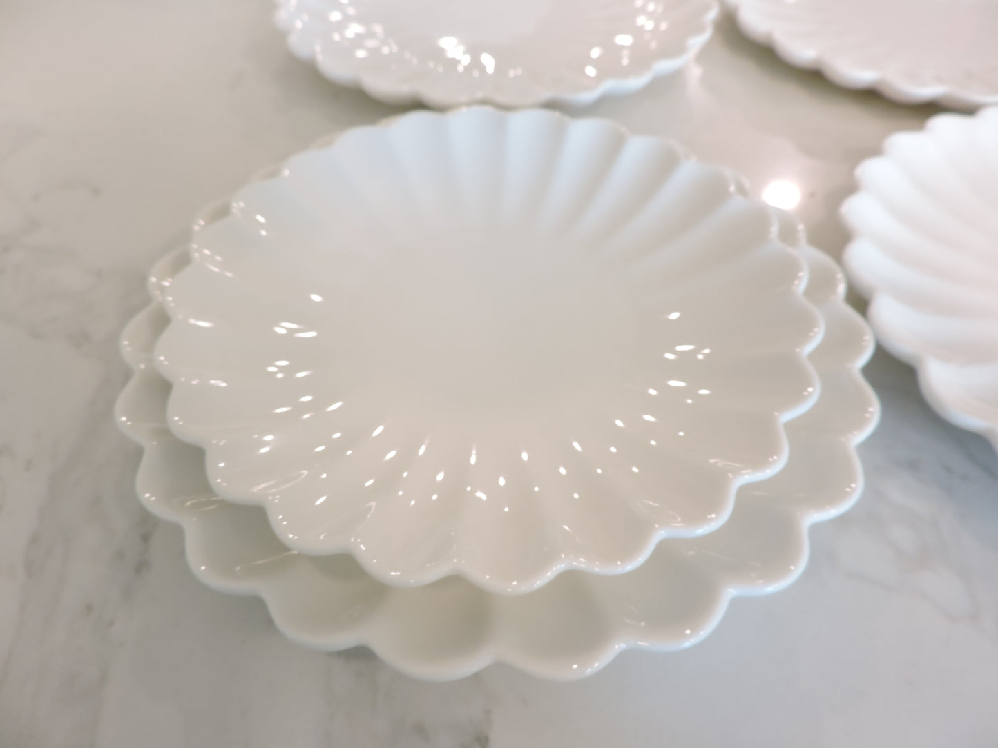 Nature Series Floral Rim Plate 7" Set of 4