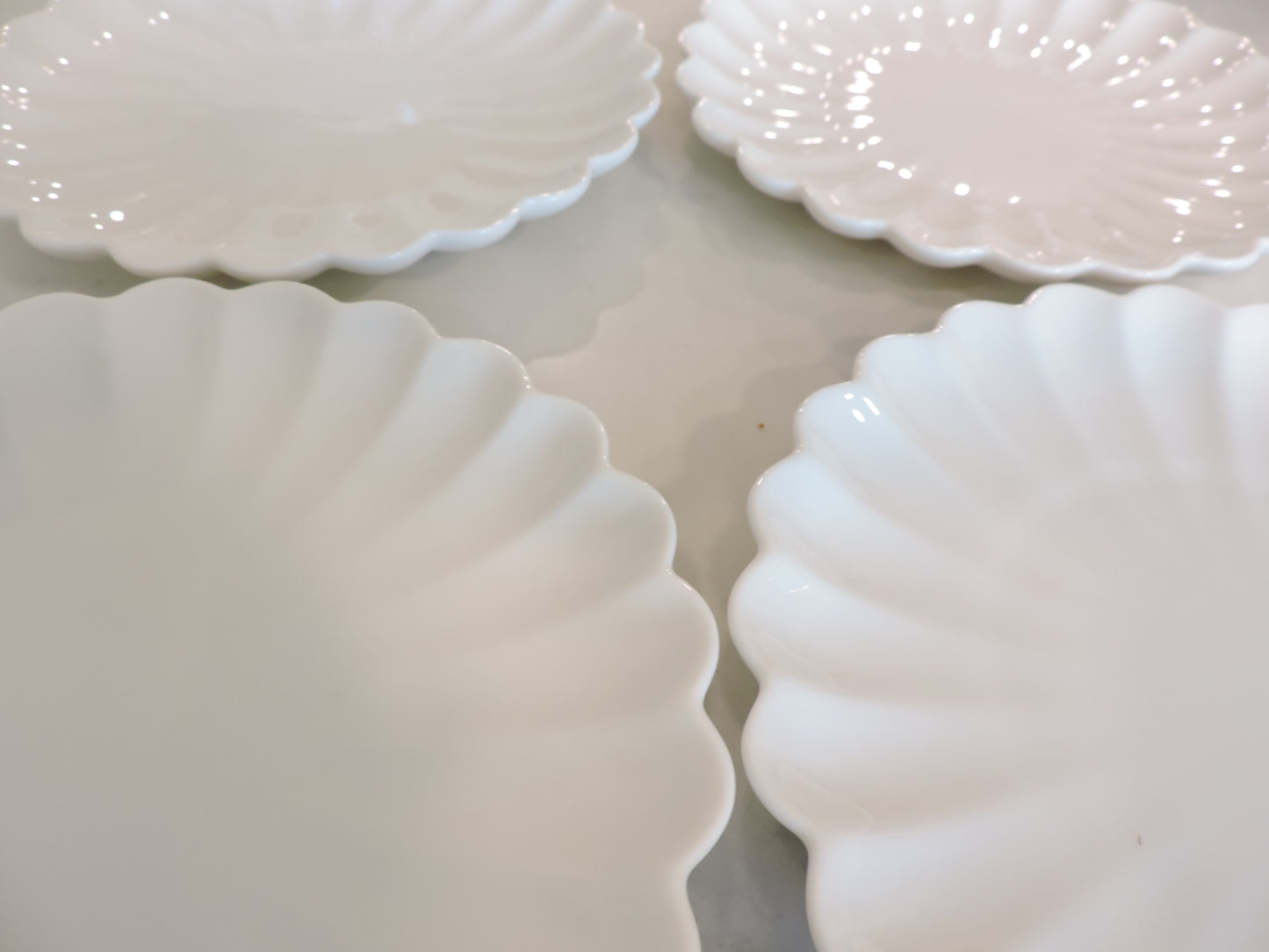 Nature Series Floral Rim Plate 7" Set of 4