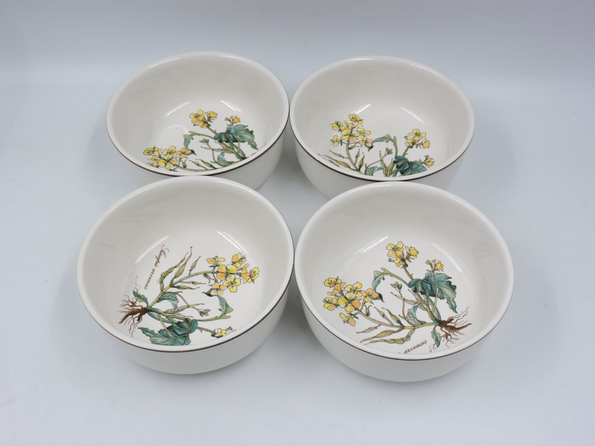 Vintage Villeroy & Boch Botanica Cereal / Soup Bowls (Set of 4)