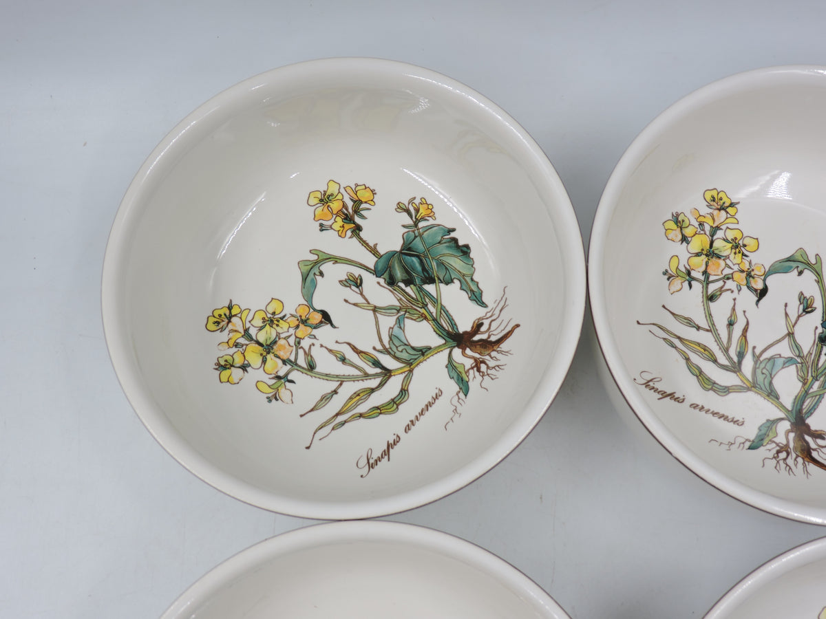 Vintage Villeroy & Boch Botanica Cereal / Soup Bowls (Set of 4)