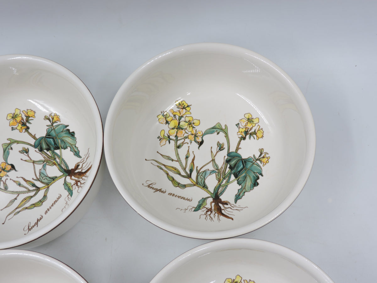 Vintage Villeroy & Boch Botanica Cereal / Soup Bowls (Set of 4)