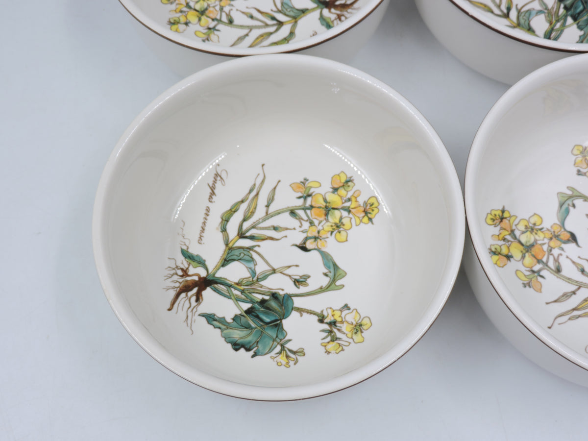 Vintage Villeroy & Boch Botanica Cereal / Soup Bowls (Set of 4)