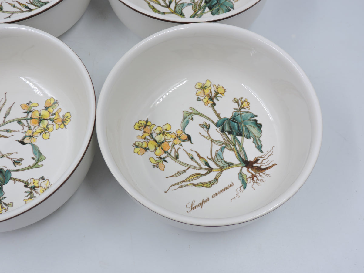 Vintage Villeroy & Boch Botanica Cereal / Soup Bowls (Set of 4)