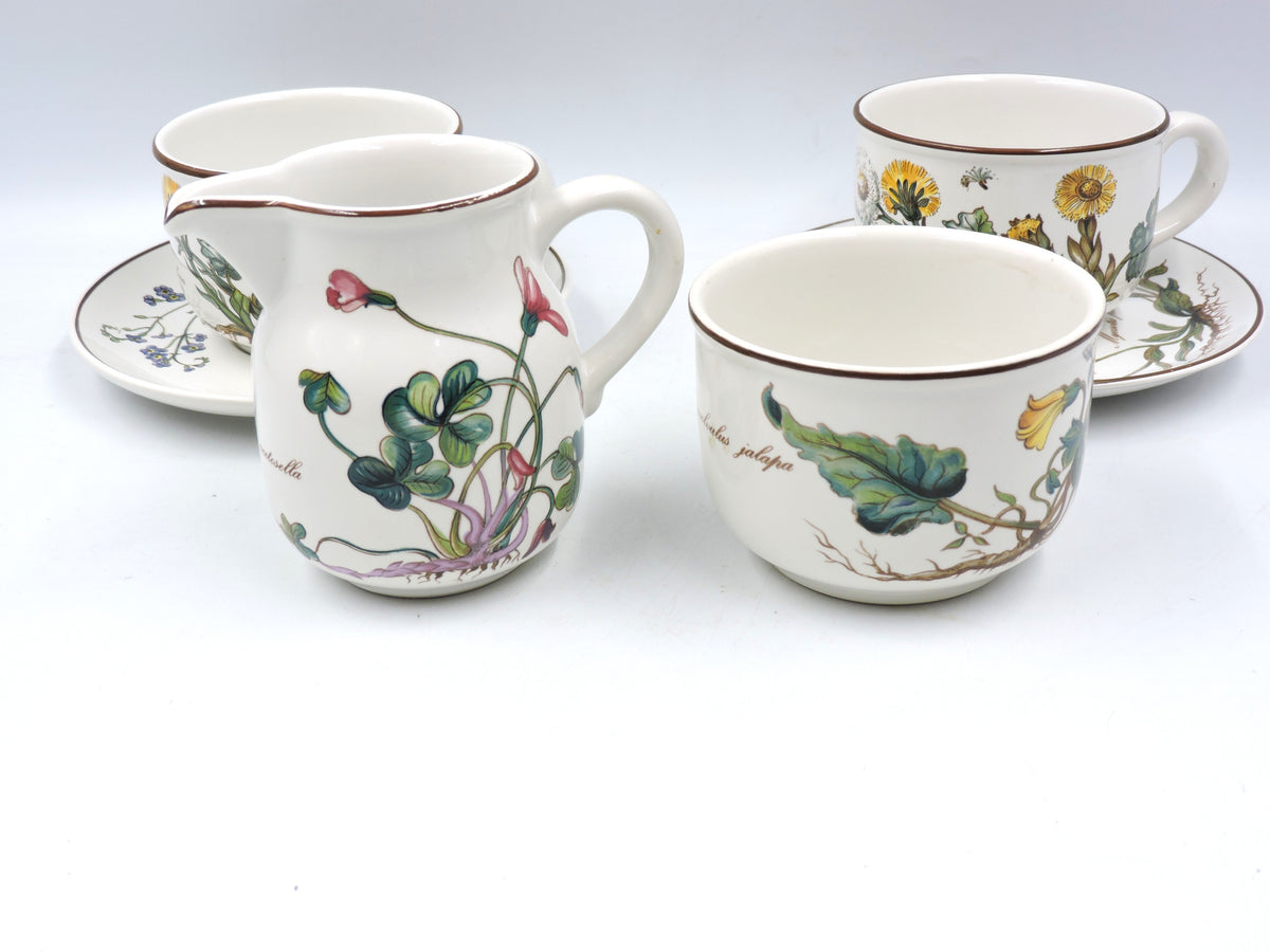 Villeroy & Boch Botanica Tea Set for 2