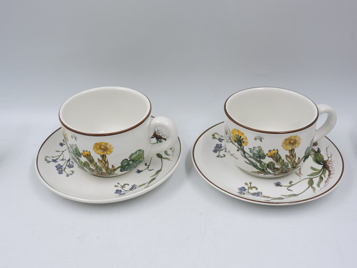 Villeroy & Boch Botanica Tea Set for 2