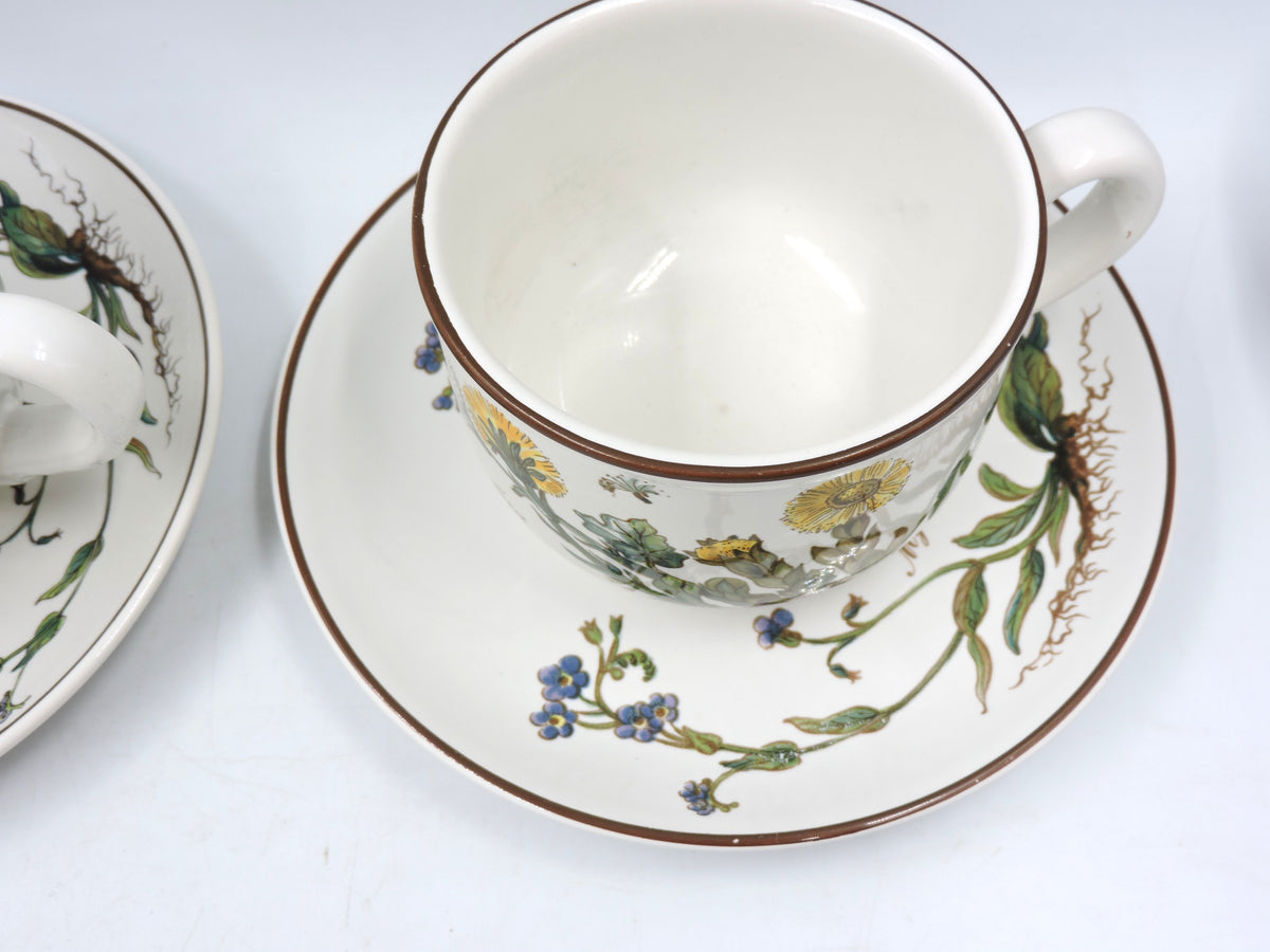 Villeroy & Boch Botanica Tea Set for 2