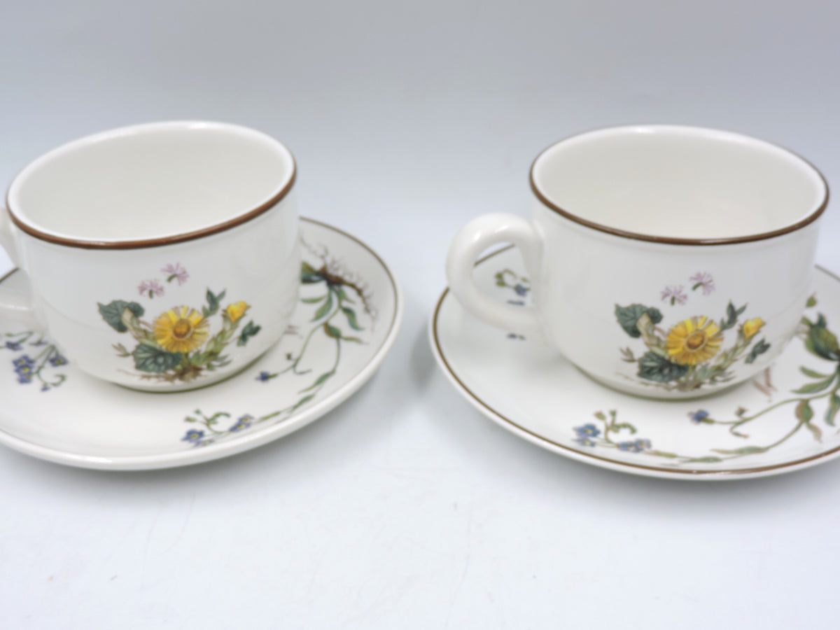 Villeroy & Boch Botanica Tea Set for 2
