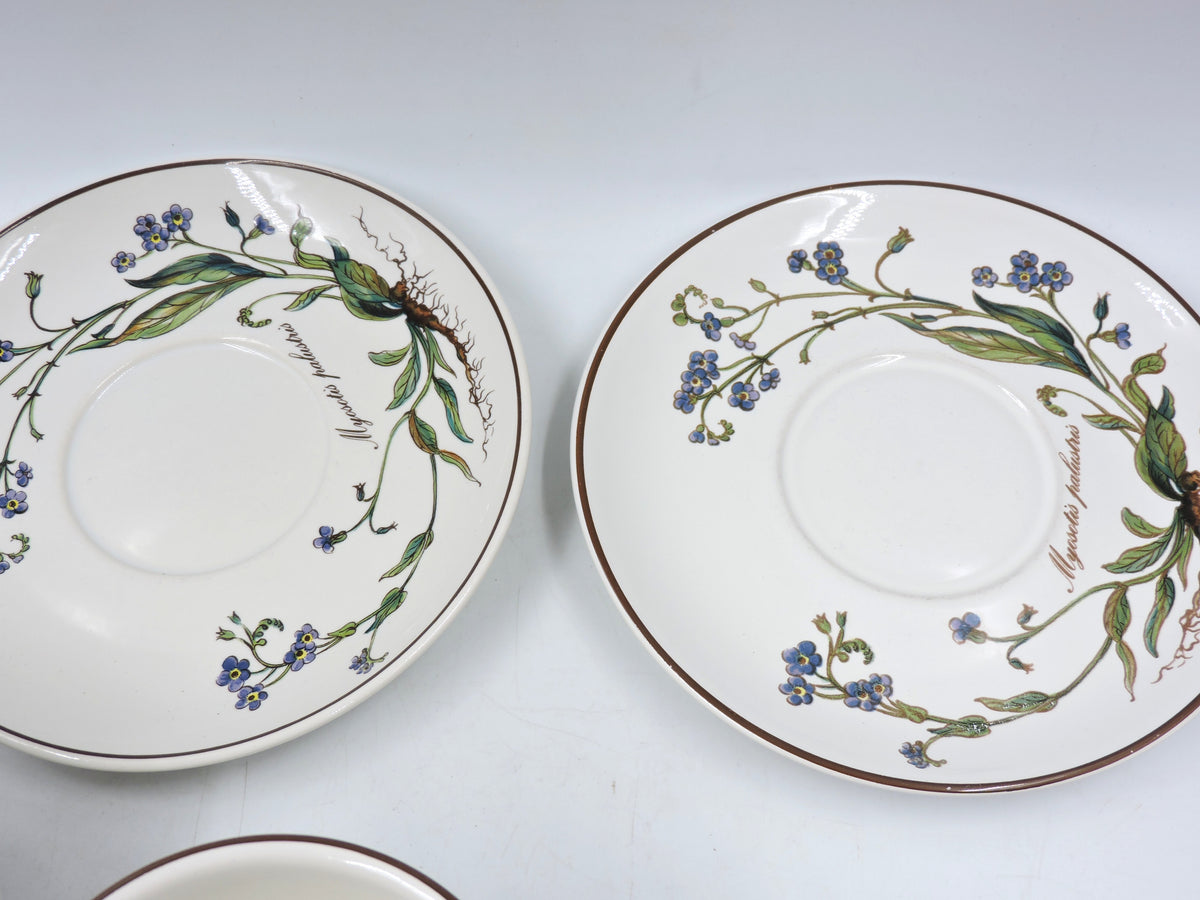 Villeroy & Boch Botanica Tea Set for 2