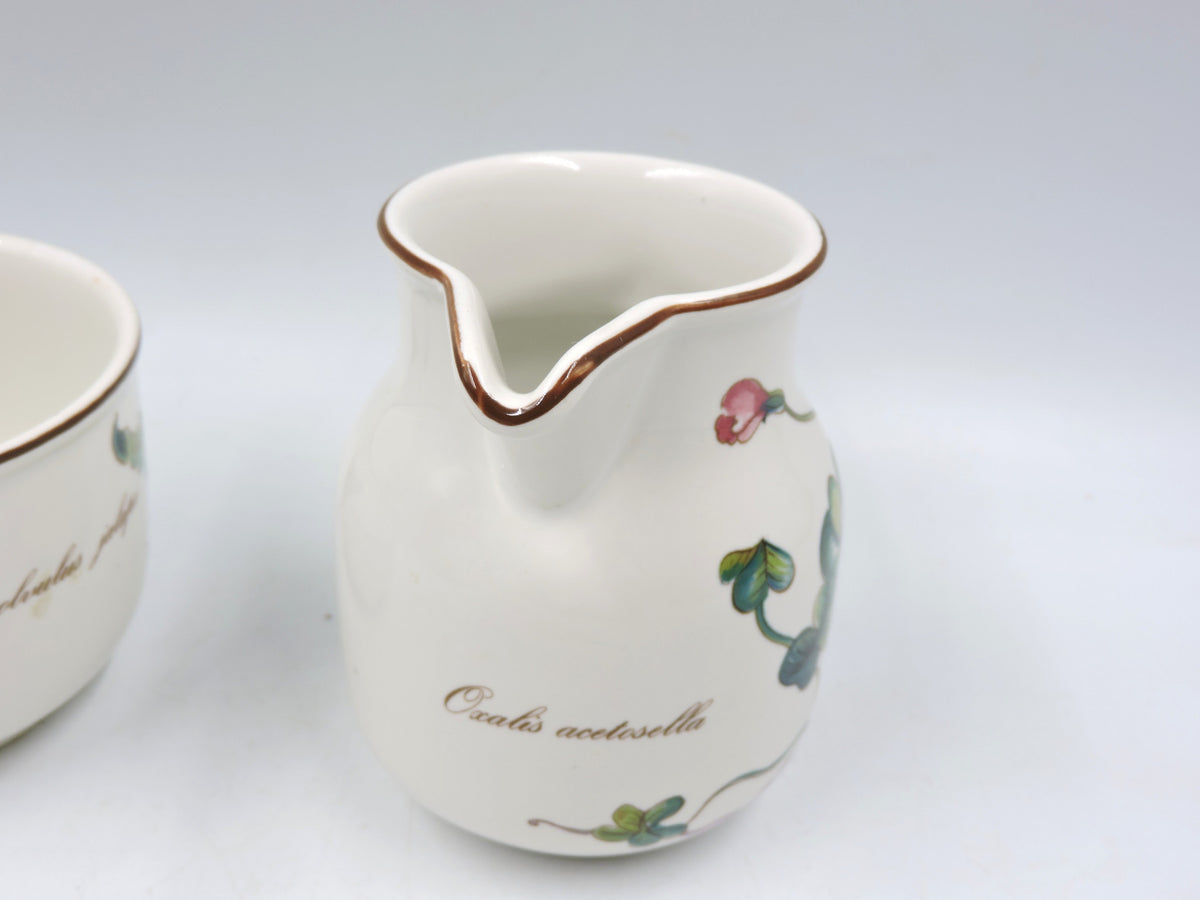Villeroy & Boch Botanica Tea Set for 2