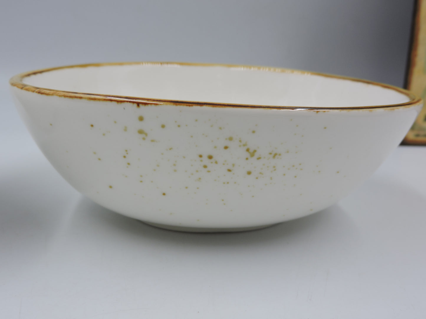 Terra Rice Bowl and Soup Bowl Set