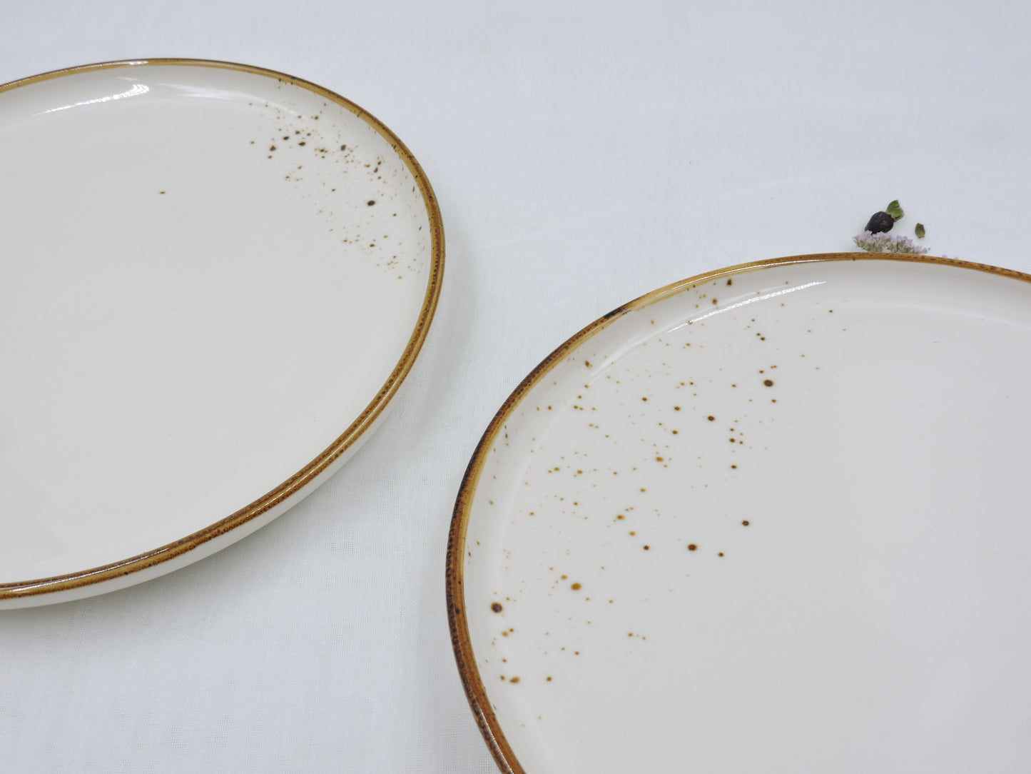 Terra - Round Plate, White, 9"