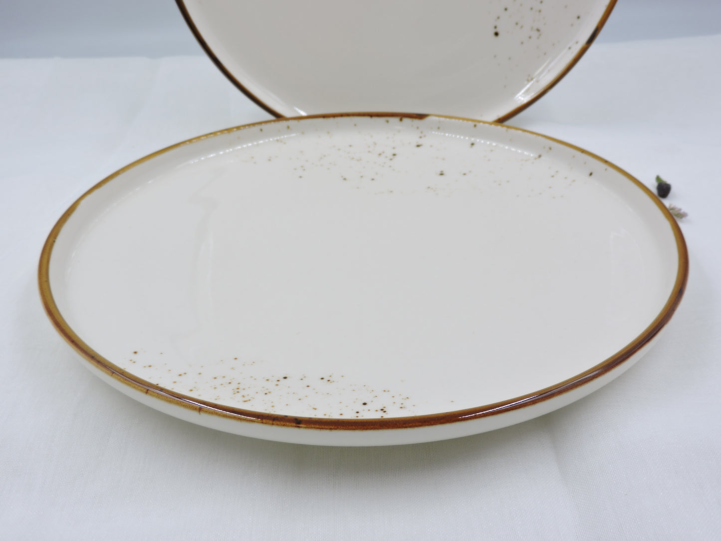 Terra Porcelain Dinnerware Set – Craft White, 16 Pc