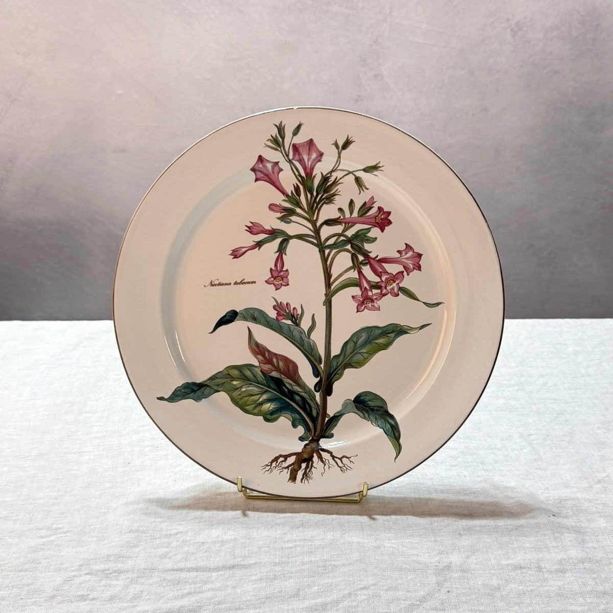 Villeroy & Boch Botanica Buffet Plate