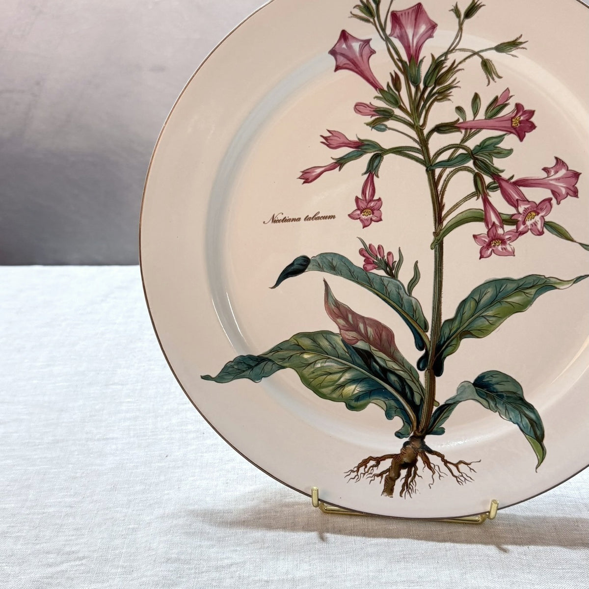 Villeroy & Boch Botanica Buffet Plate