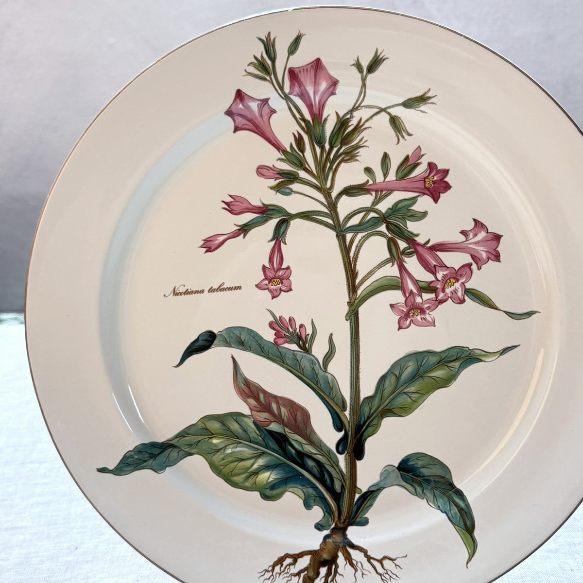 Villeroy & Boch Botanica Buffet Plate