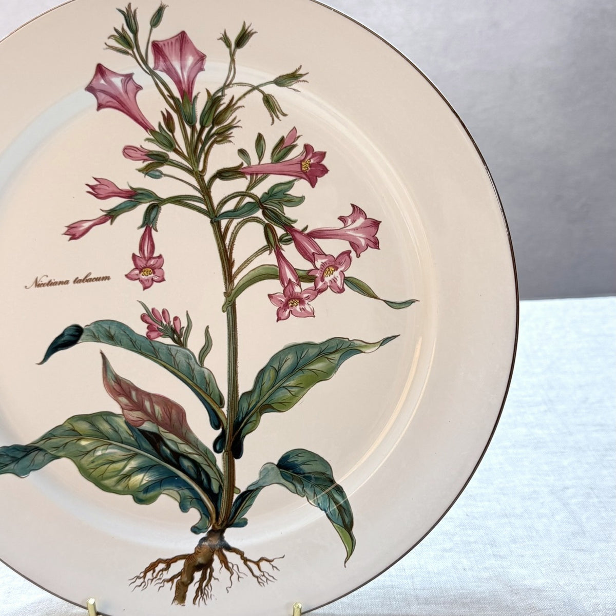 Villeroy & Boch Botanica Buffet Plate