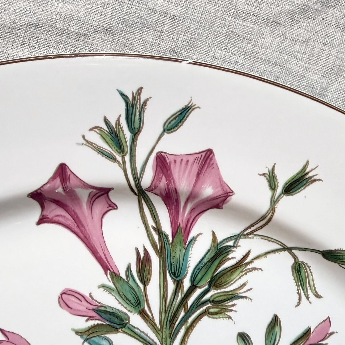 Villeroy & Boch Botanica Buffet Plate