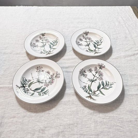 Villeroy & Boch Botanica Rim Soup Bowl Set of 4