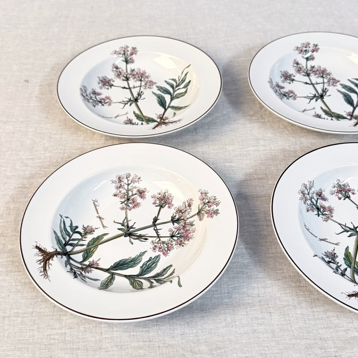 Villeroy & Boch Botanica Rim Soup Bowl Set of 4