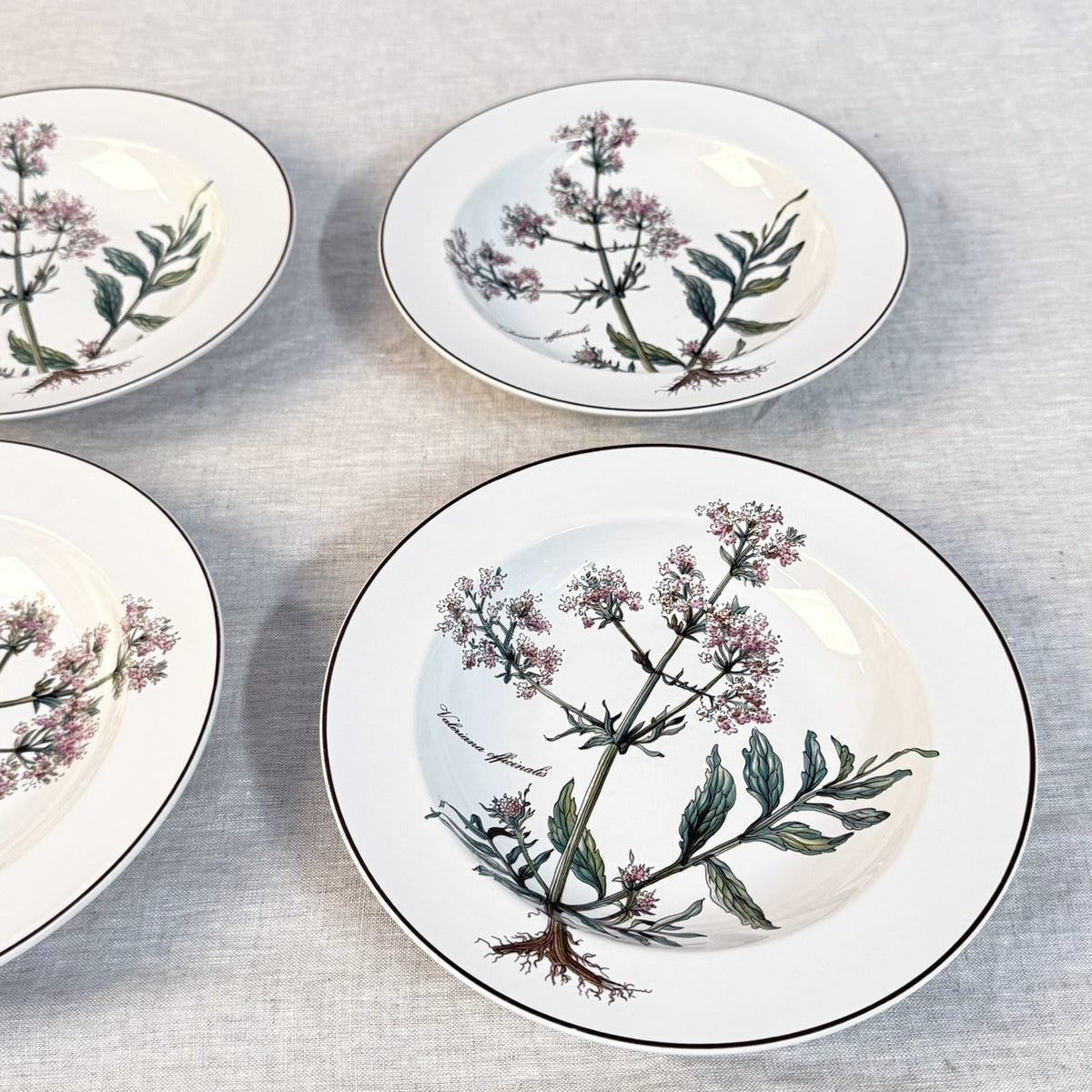 Villeroy & Boch Botanica Rim Soup Bowl Set of 4