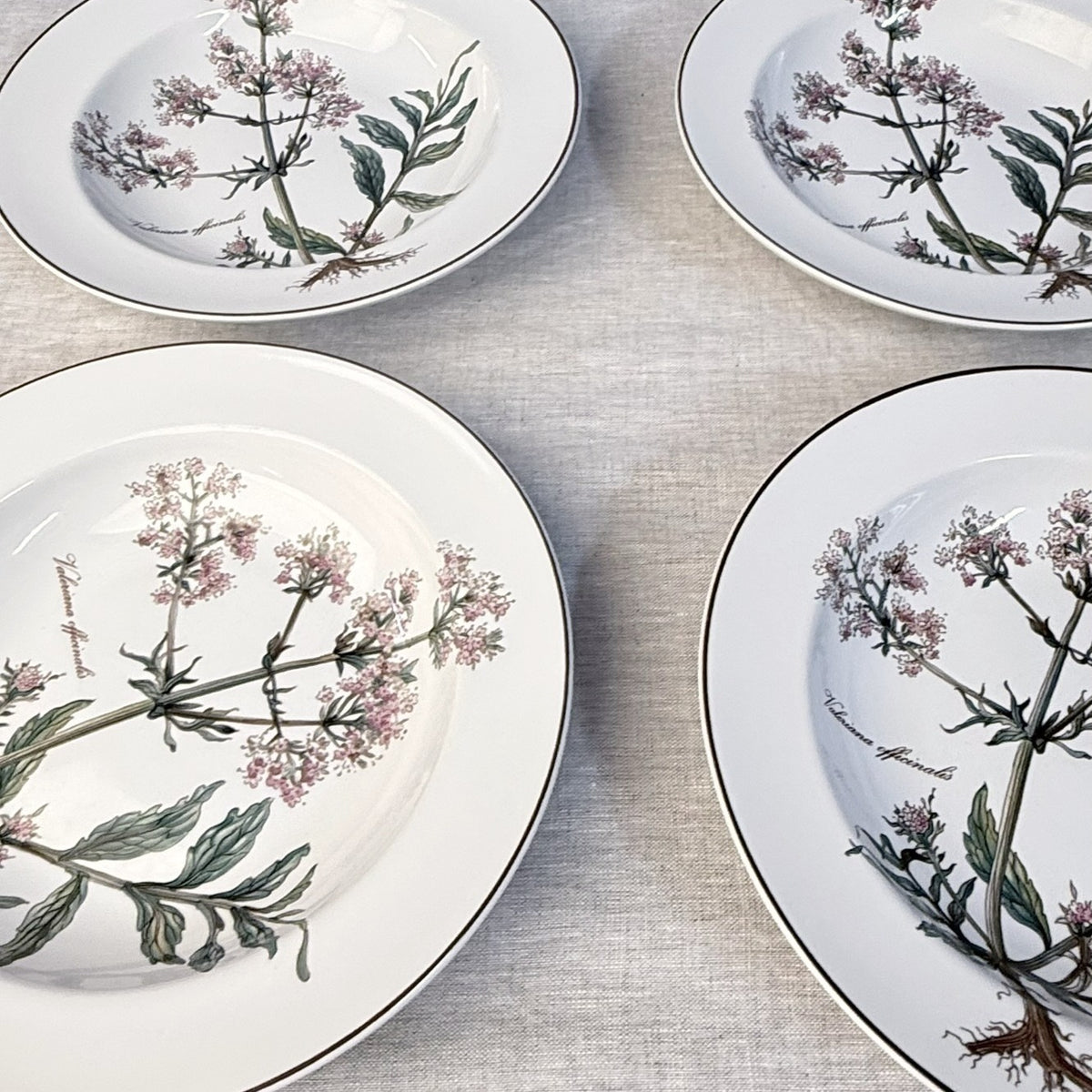 Villeroy & Boch Botanica Rim Soup Bowl Set of 4