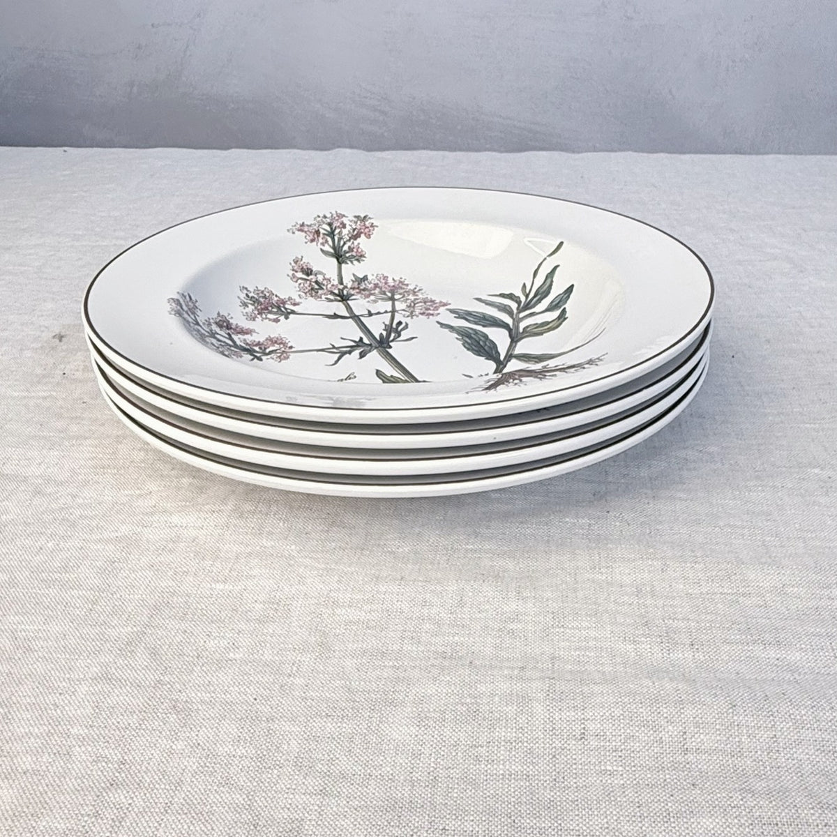 Villeroy & Boch Botanica Rim Soup Bowl Set of 4