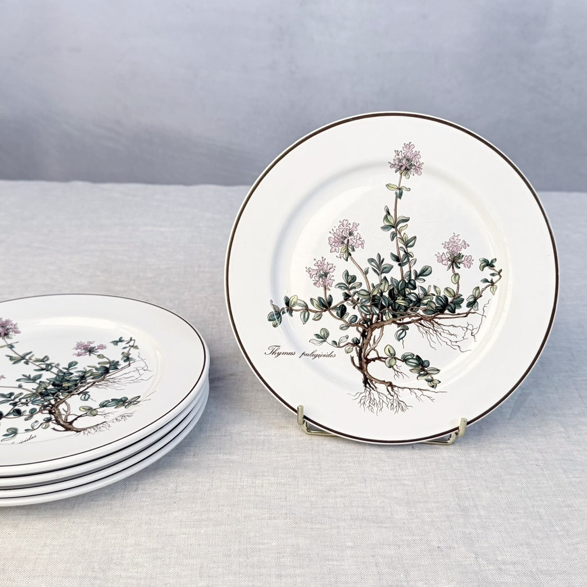 Villeroy & Boch Botanica Salad Plate