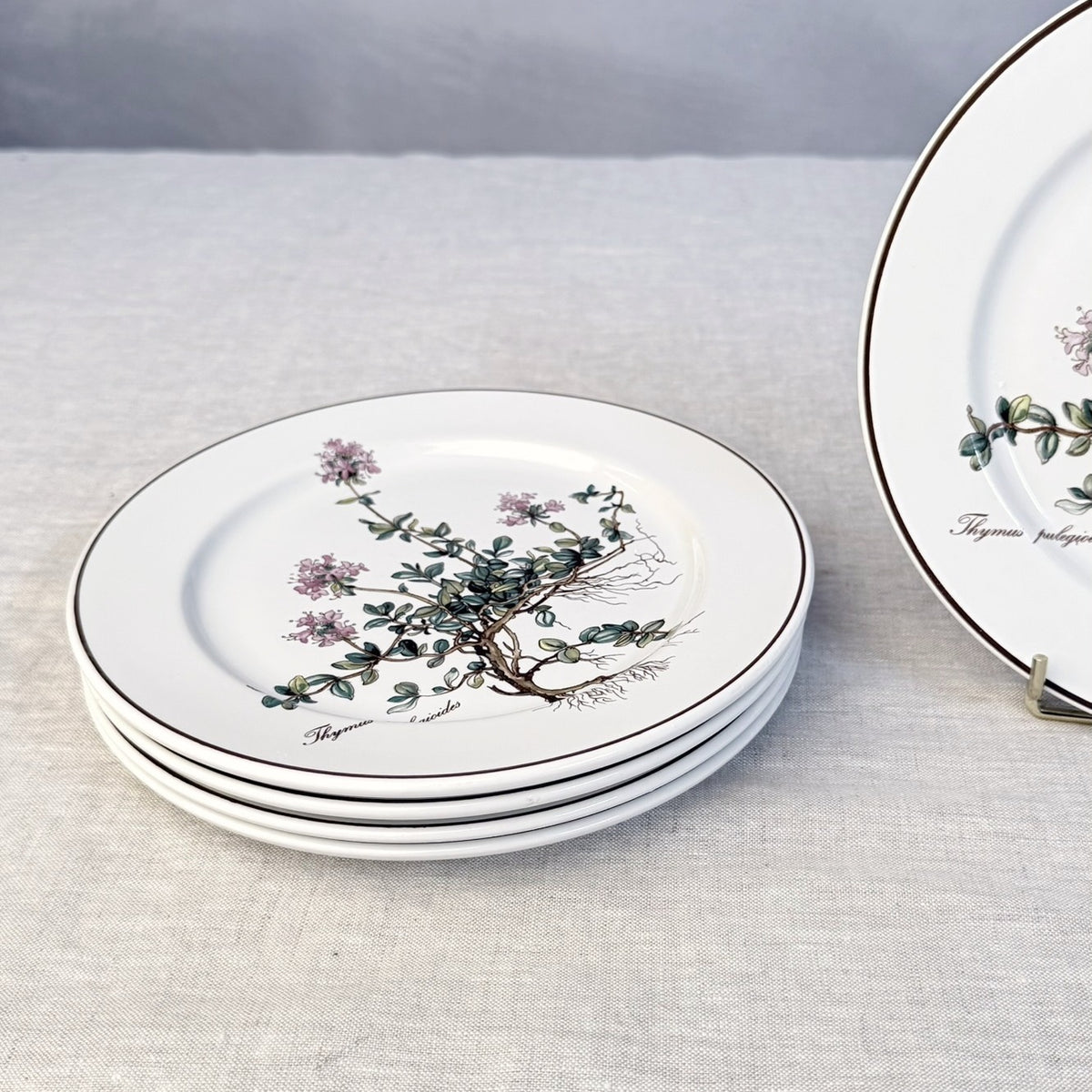 Villeroy & Boch Botanica Salad Plate