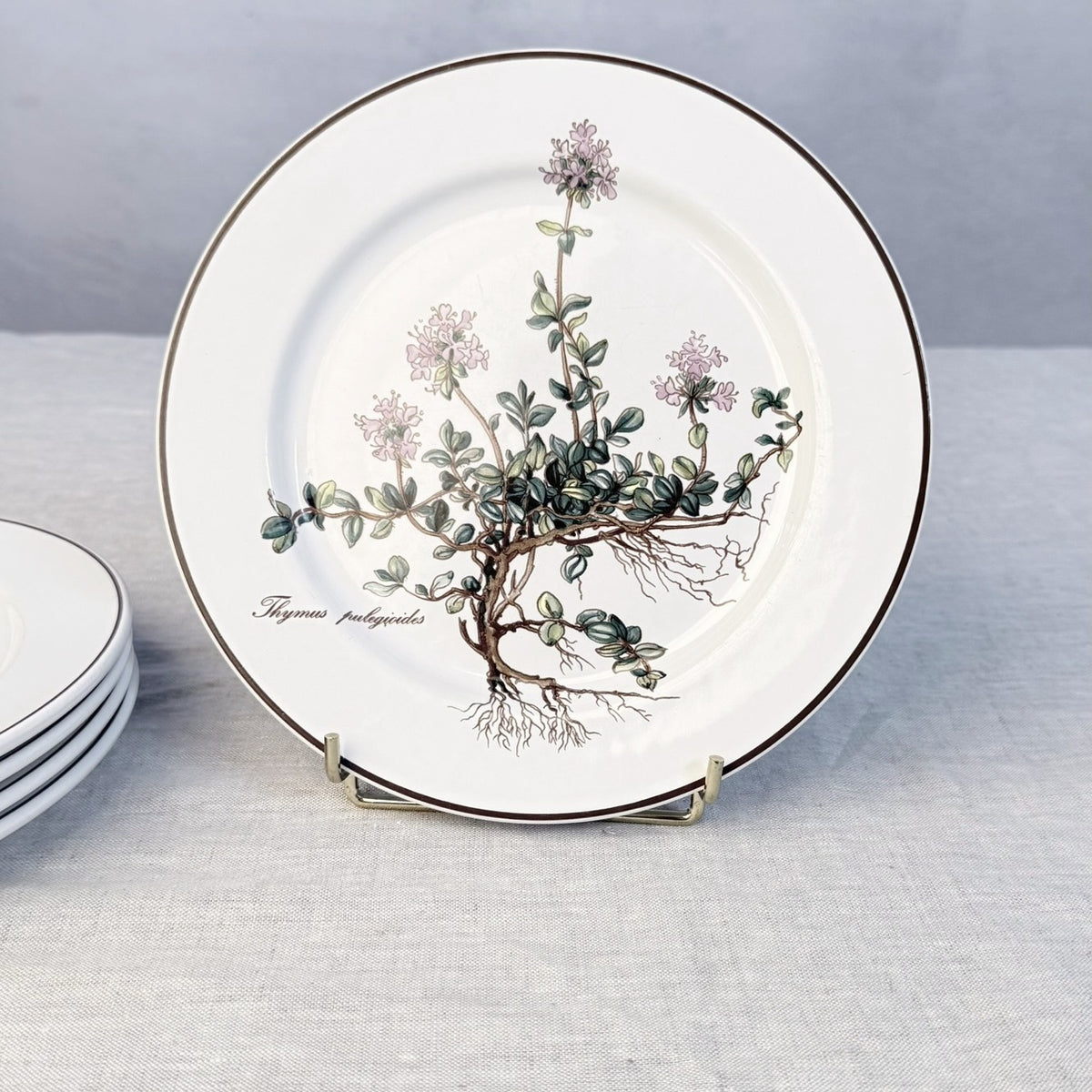 Villeroy & Boch Botanica Salad Plate