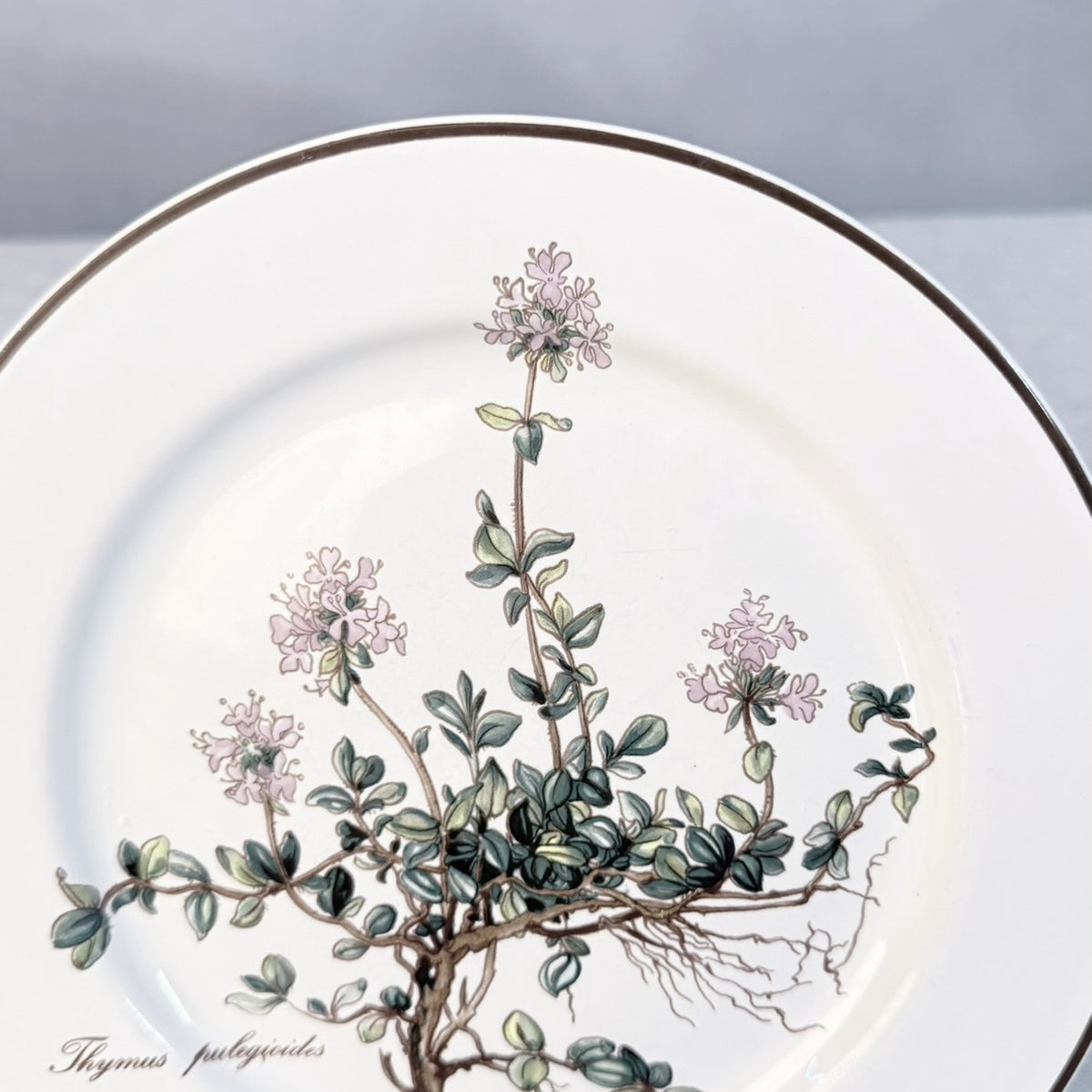 Villeroy & Boch Botanica Salad Plate