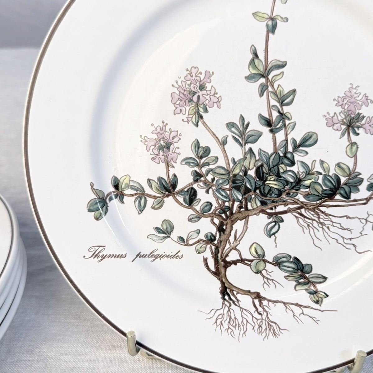 Villeroy & Boch Botanica Salad Plate