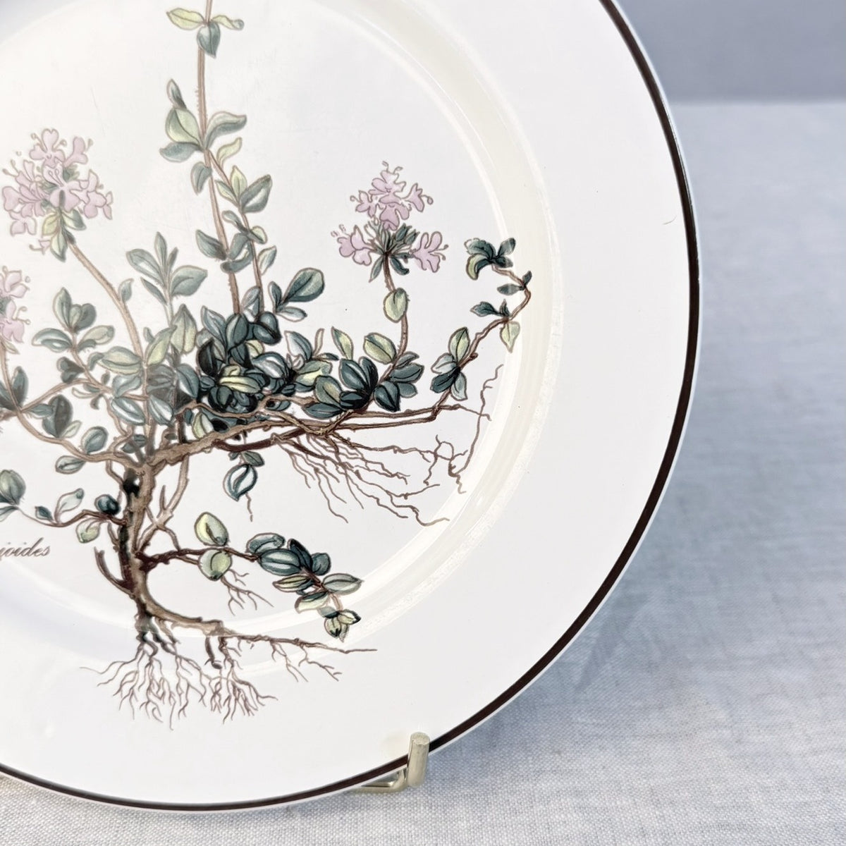 Villeroy & Boch Botanica Salad Plate