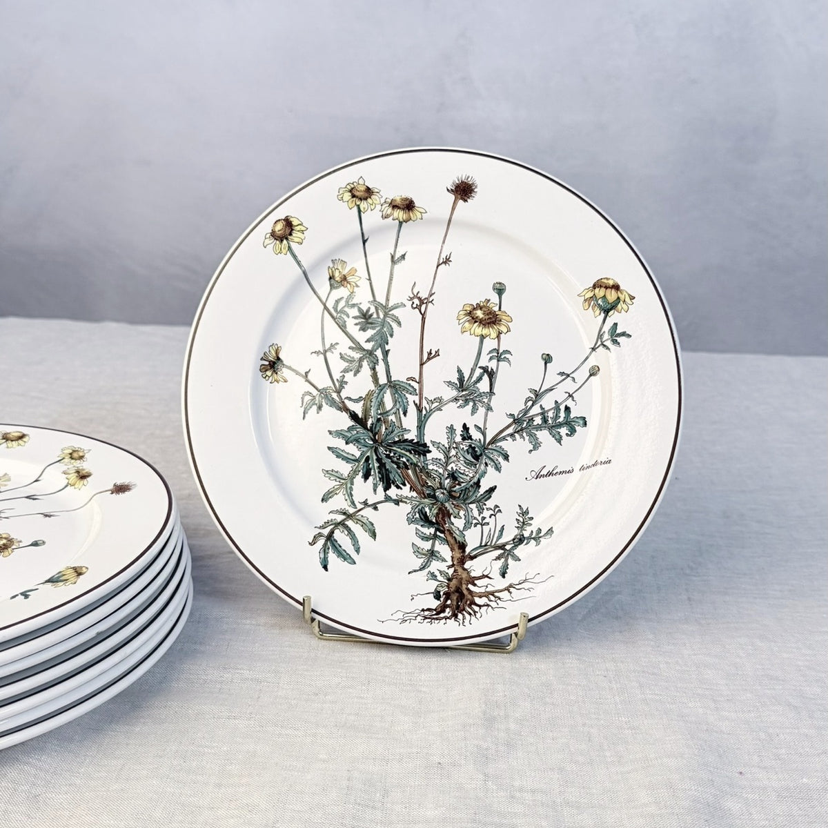 Villeroy & Boch Botanica Dinner Plate