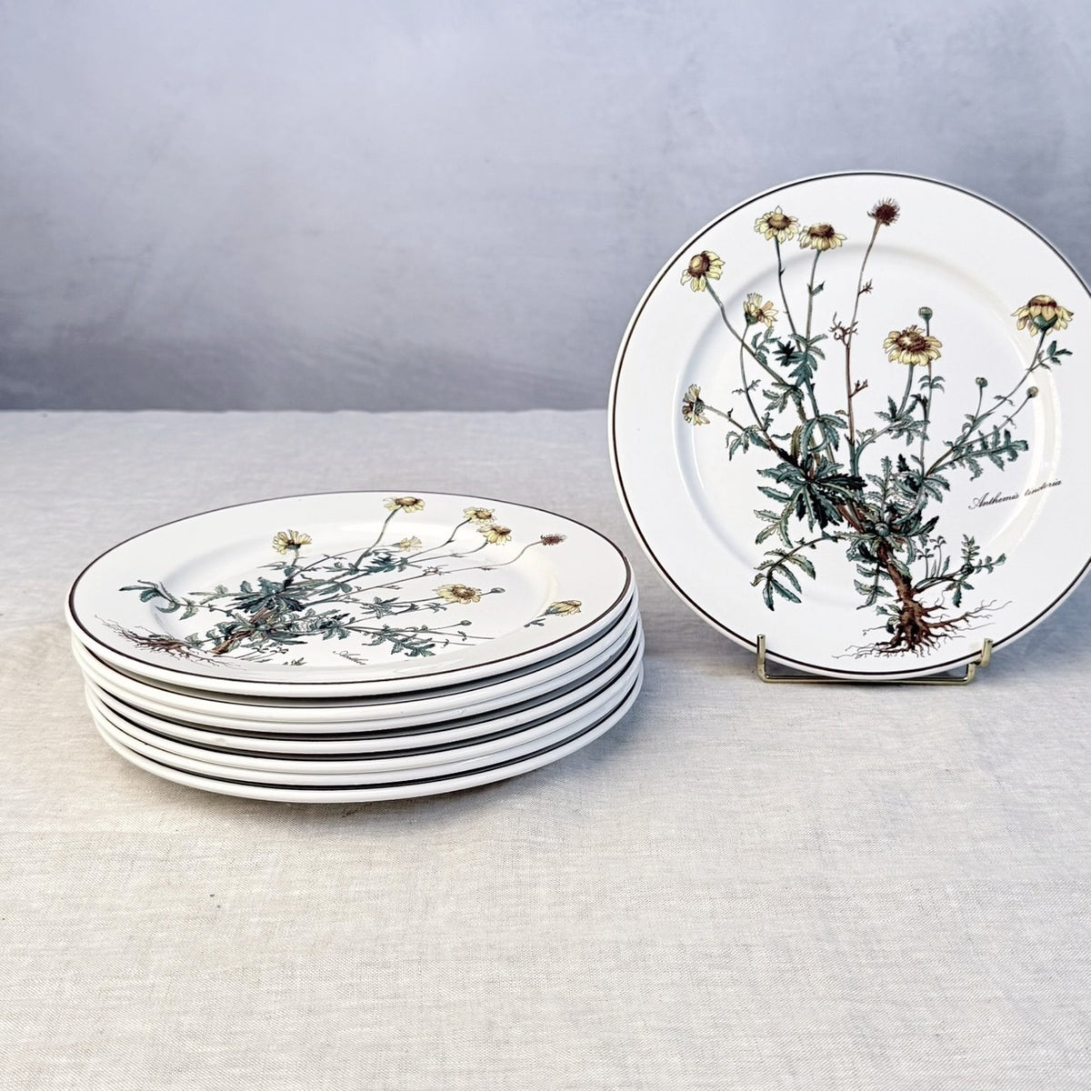 Villeroy & Boch Botanica Dinner Plate