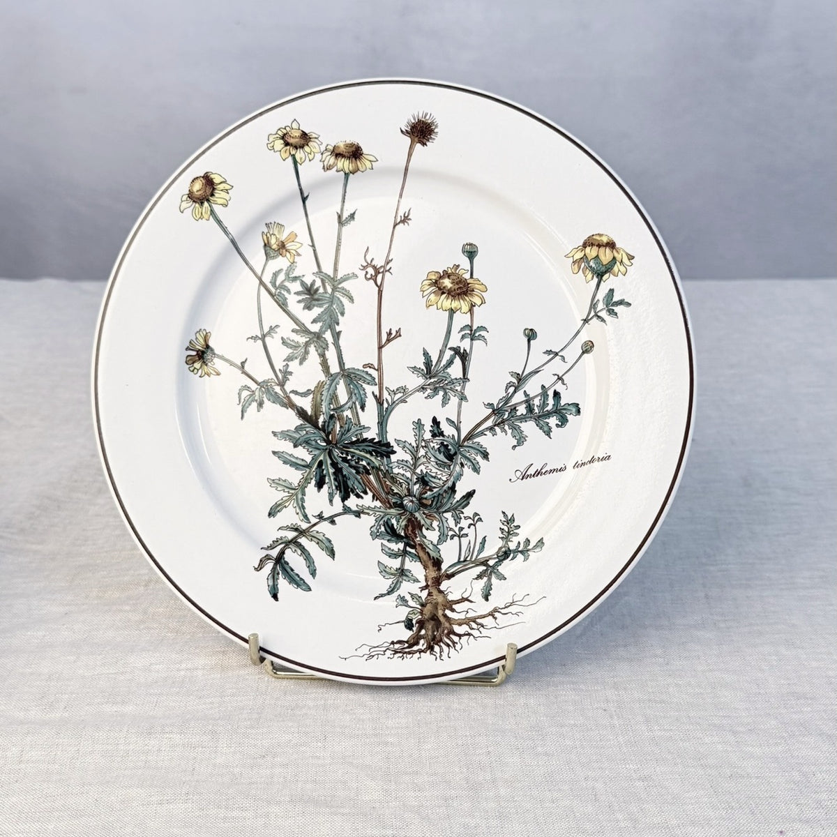 Villeroy & Boch Botanica Luncheon Plate