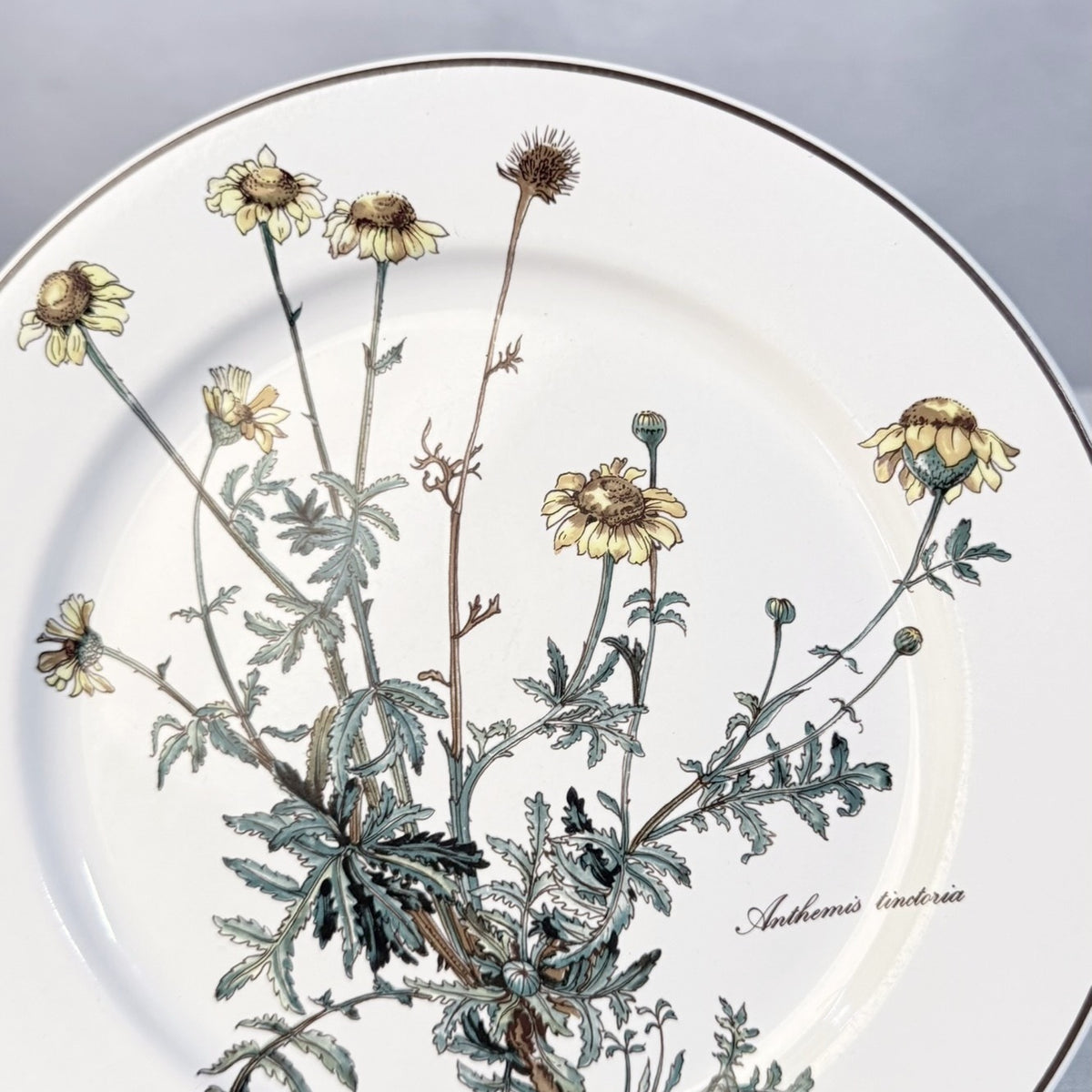 Villeroy & Boch Botanica Luncheon Plate