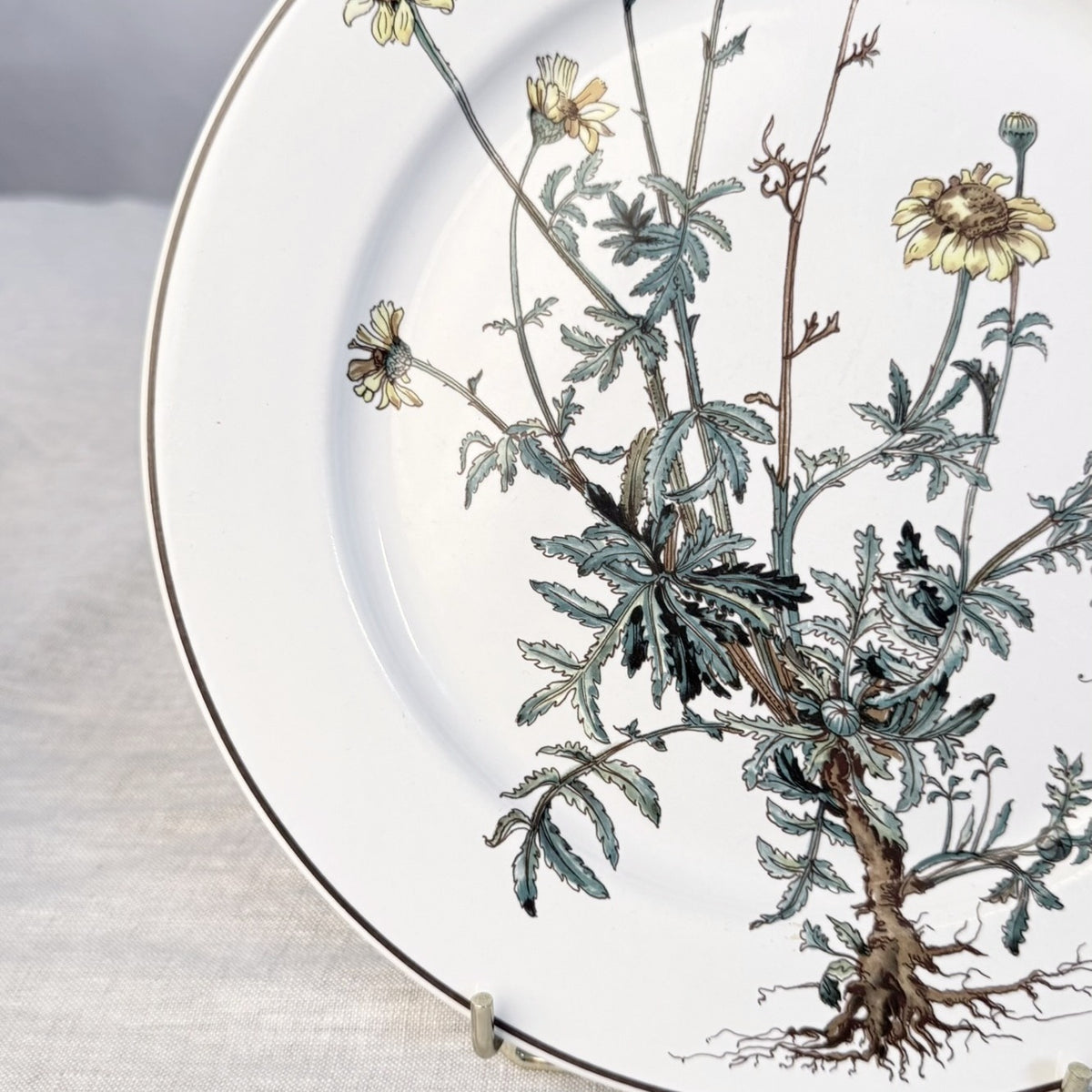 Villeroy & Boch Botanica Luncheon Plate