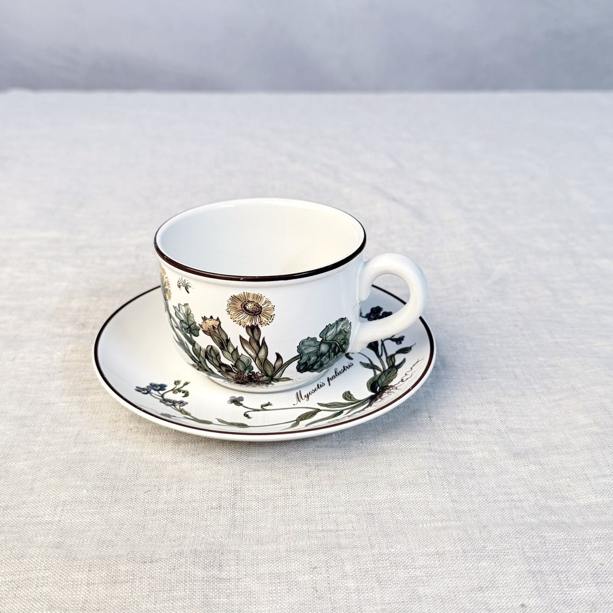 Villeroy & Boch Botanica Tea Cup and Saucer