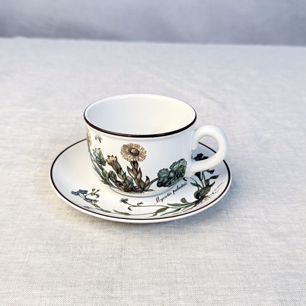 Villeroy & Boch Botanica Tea Cup and Saucer