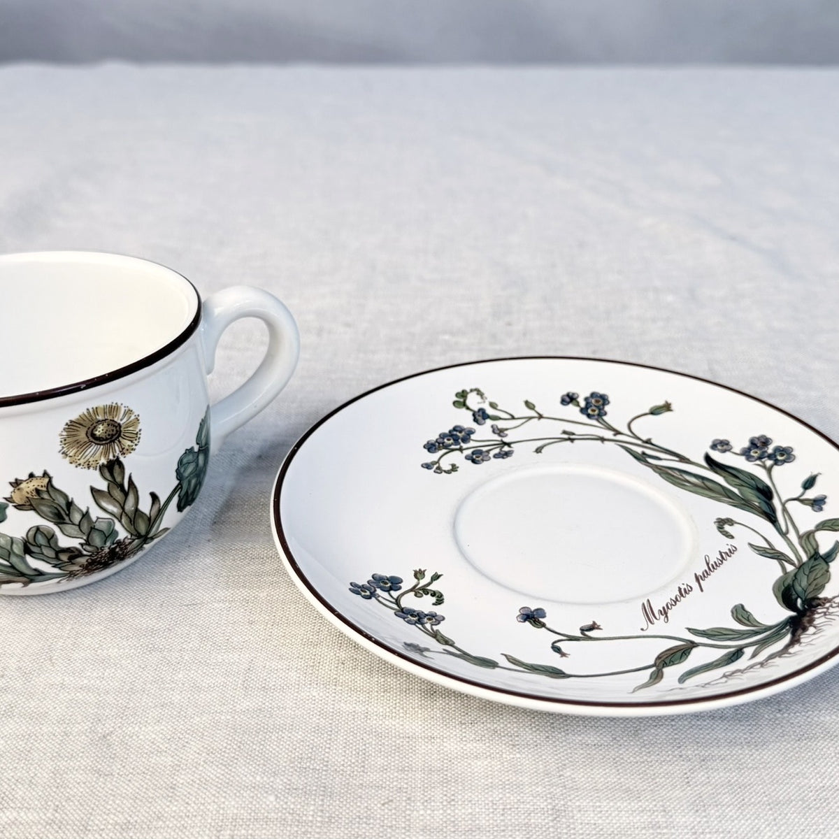 Villeroy & Boch Botanica Tea Cup and Saucer