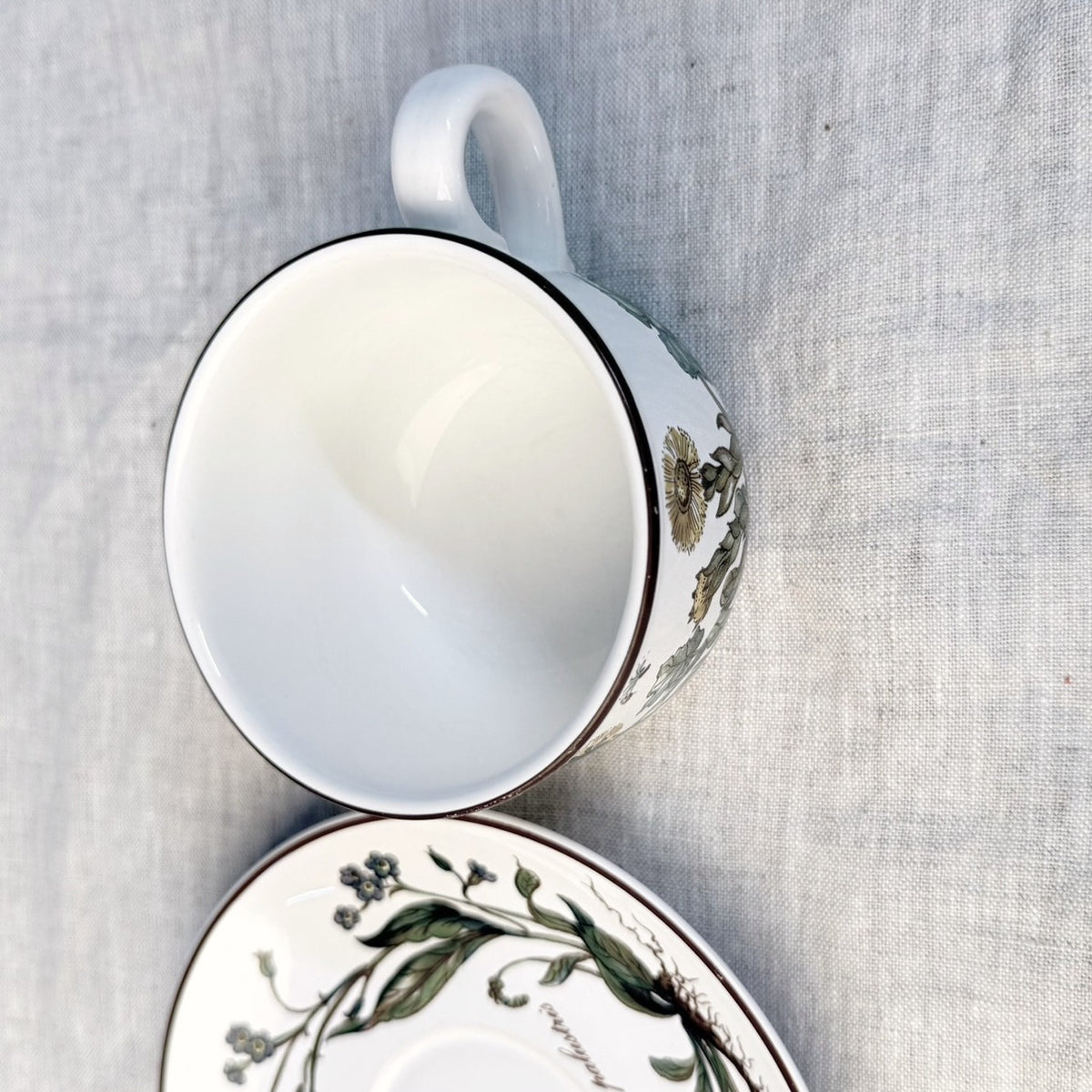 Villeroy & Boch Botanica Tea Cup and Saucer